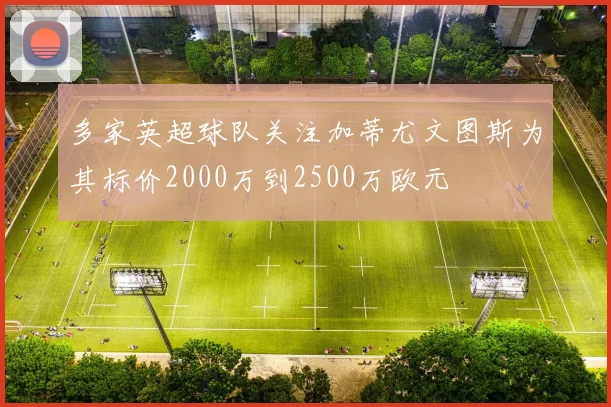 多家英超球队关注加蒂尤文图斯为其标价2000万到2500万欧元