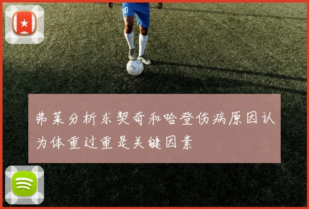 弗莱分析东契奇和哈登伤病原因认为体重过重是关键因素