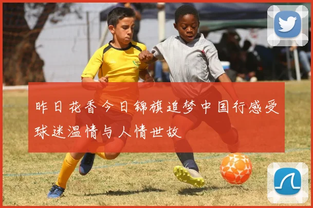 昨日花香今日锦旗追梦中国行感受球迷温情与人情世故