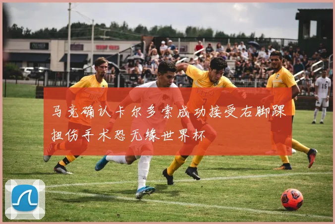 马竞确认卡尔多索成功接受右脚踝扭伤手术恐无缘世界杯
